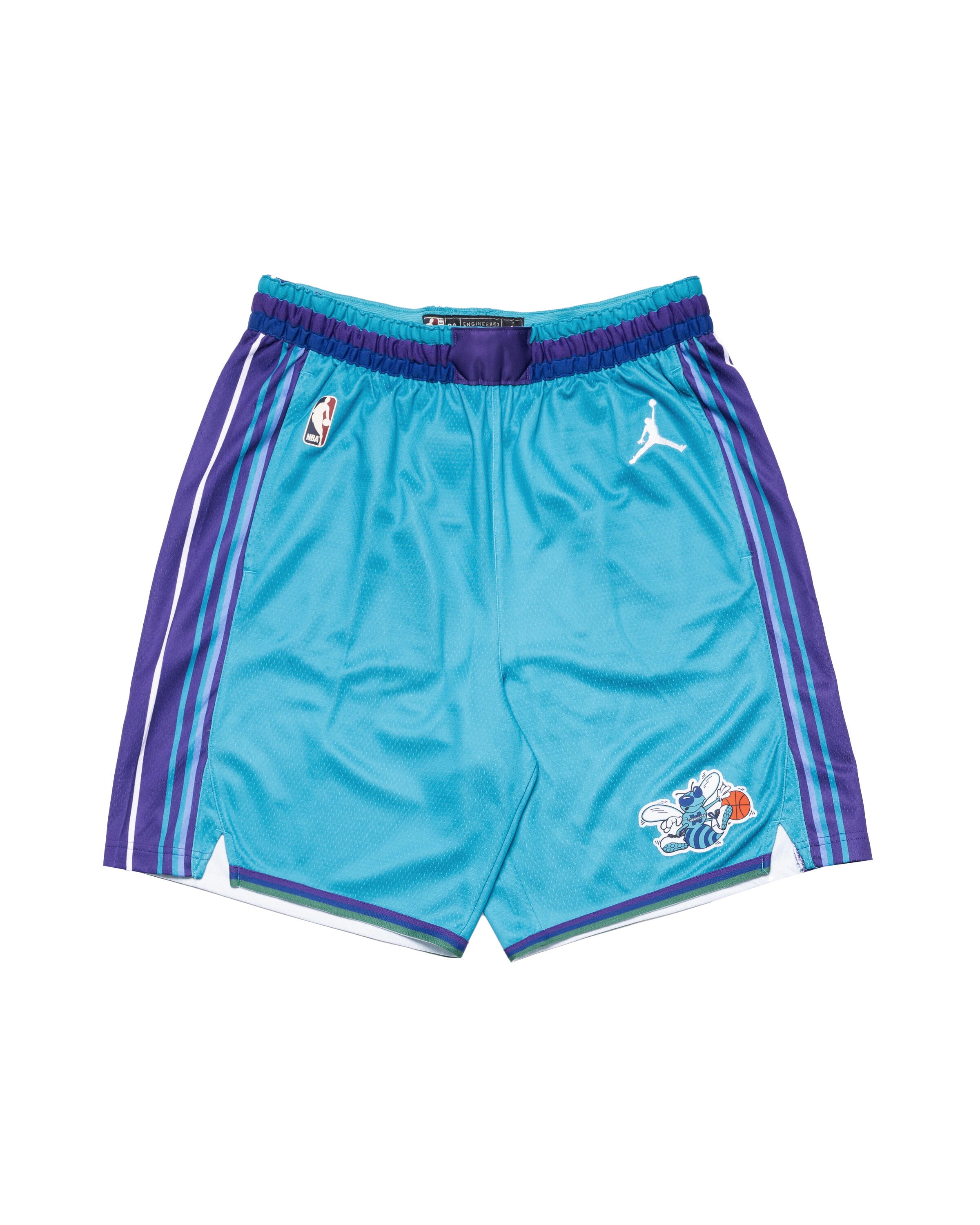 Nike CHARLOTTE Hornets Hardwood Classics SHORTS | DX8723-415